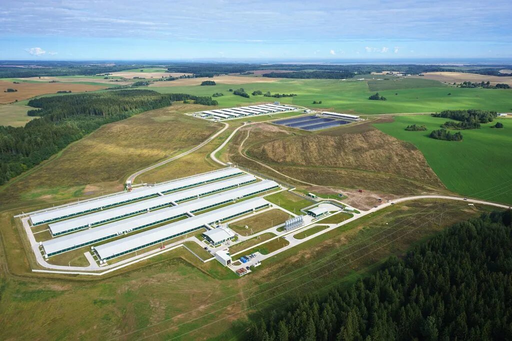 дороничи свиноферма. свинокомплекс лагуна. ооо ннпп 2 свинокомплекс. свиноводческий комплекс. свинокомплекс мираторг курская область.