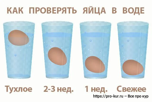 Как определить свежесть яйца в воде. Проверка яйца на тухлость. Проверка яиц на свежесть в воде. Проверка яиц на свежесть