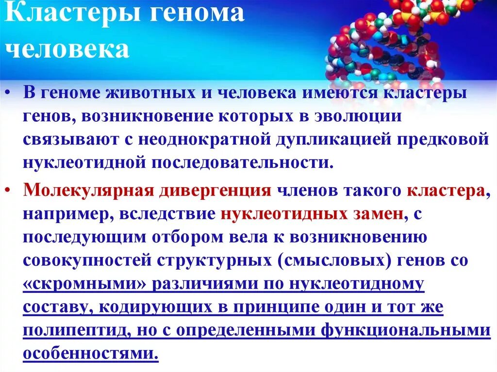 Генные кластеры. Семейство и кластер генов. Геном человека кластер. Причины кластеризации генов.