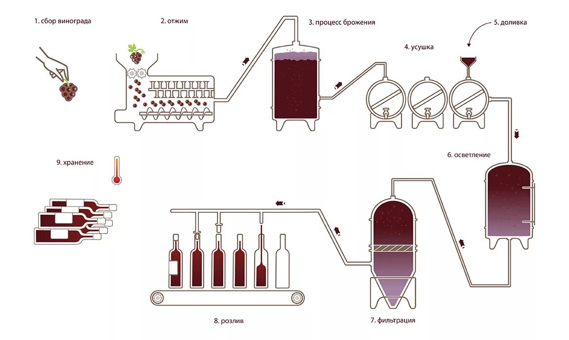 Схема производства виноградных вин. Вино схема производства. Производство вина технология схема. Технологическая схема производства красных сухих вин. Производство красного вина