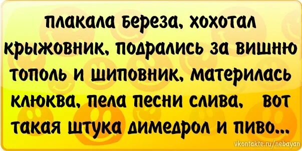 Корни плакала береза текст. Плакала берёза хохотал крыжовник. плакала береза хохотал шиповник. стишок плакала береза хохотал крыжовник. плакала берёза хохотал крыжовник подрались за вишню.