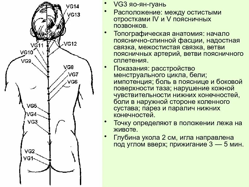 Артховикс меридиан. 14 Переднесрединный Меридиан. Меридиан переднесрединный точка VC.3. Переднесрединный Меридиан Пучко. Переднесрединный Меридиан точки и показания.