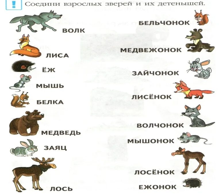 Какое слово означает животное. Дикие животные и их Детеныши. Назови детенышей диких животных. Тема Дикие животные. Название детенышей животных для дошкольников.