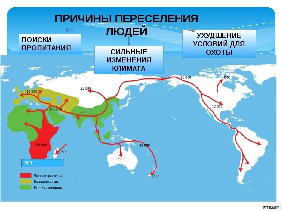 Миграция населения в пределах страны. Карта расселения хомо сапиенс. Расселение первых людей из Африки. Карта заселения земли человеком. Карта миграции человечества.