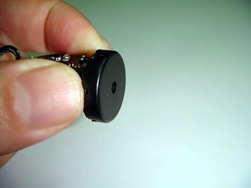 жук кожеед маленький. жук кожеед ветчинный. ковровый жук кожеед. жуки в цветах комнатных. 9 жучки.