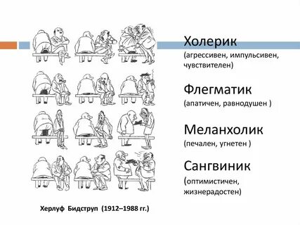 Сангвиник флегматик характеристика тип темперамента