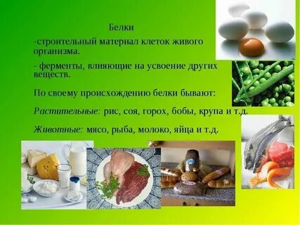 Растительный белок клетки