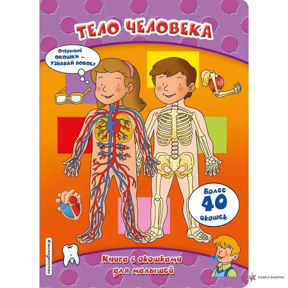 Человек книга для детей. Детская книжка про тело человека. Детская иллюстрированная энциклопедия. Энциклопедия маленького почемучки. Анатомический атлас для детей.