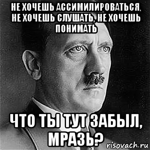 Что тут забыл. Что ты тут забыл. Че ты тут забыл. Обои что ты тут забыл.