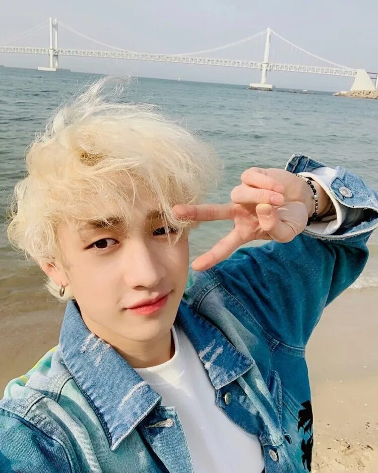 Как зовут бан чана. Банчан. кристофер банчан. бан чан stray. stray kids бан кристофер чан.