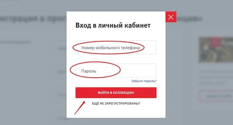 Зайти в свой личный кабинет по номеру мобильного. ВТБ бонус личный кабинет. ВТБ личный кабинет. ВТБ банк вход в личный кабинет. Втб лк вход личный