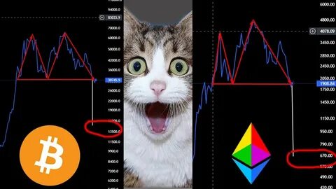 Биткоин кетс