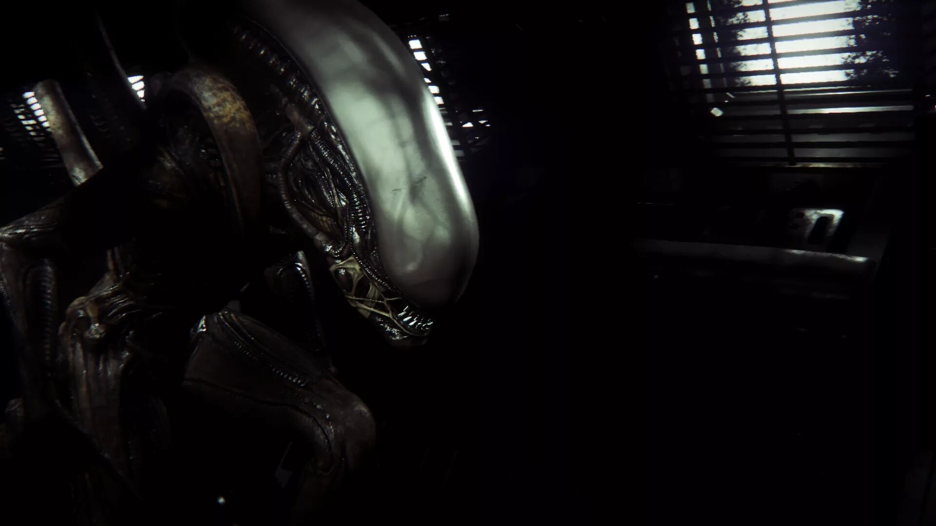 Alien Isolation чужой. Кровать Alien Isolation. Alien Isolation компьютер. Чужой из игры Alien Isolation.