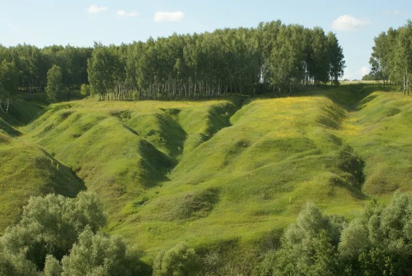 Линия орловская область. Природа Орловской области Мценского района. С Городище Мценского района. Деревня Старенково Мценский район. Орловская область равнины.