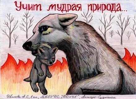 Берегите животных леса