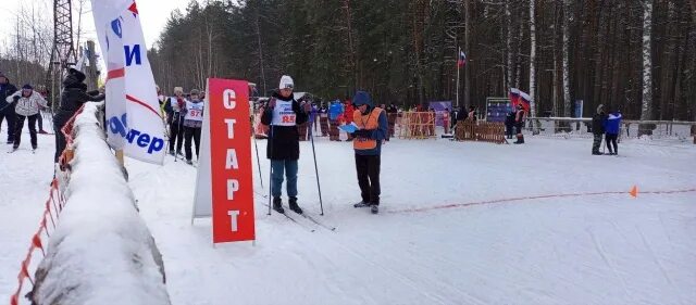 Лыжи спорт лес. Единая форма лыжников на спартакиаду.