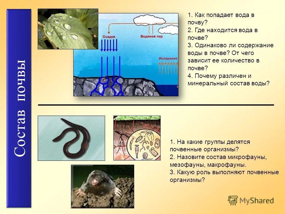 в почве воде продуктах. численность микроорганизмов в почве. содержание воды в почве. в почве воде продуктах. почва презентация для дошкольников.