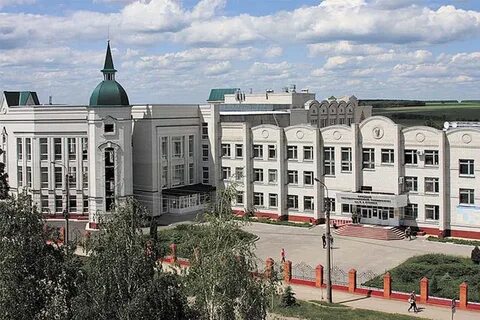 Институты г елец