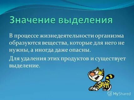 Продукт жизнедеятельности животного и человека