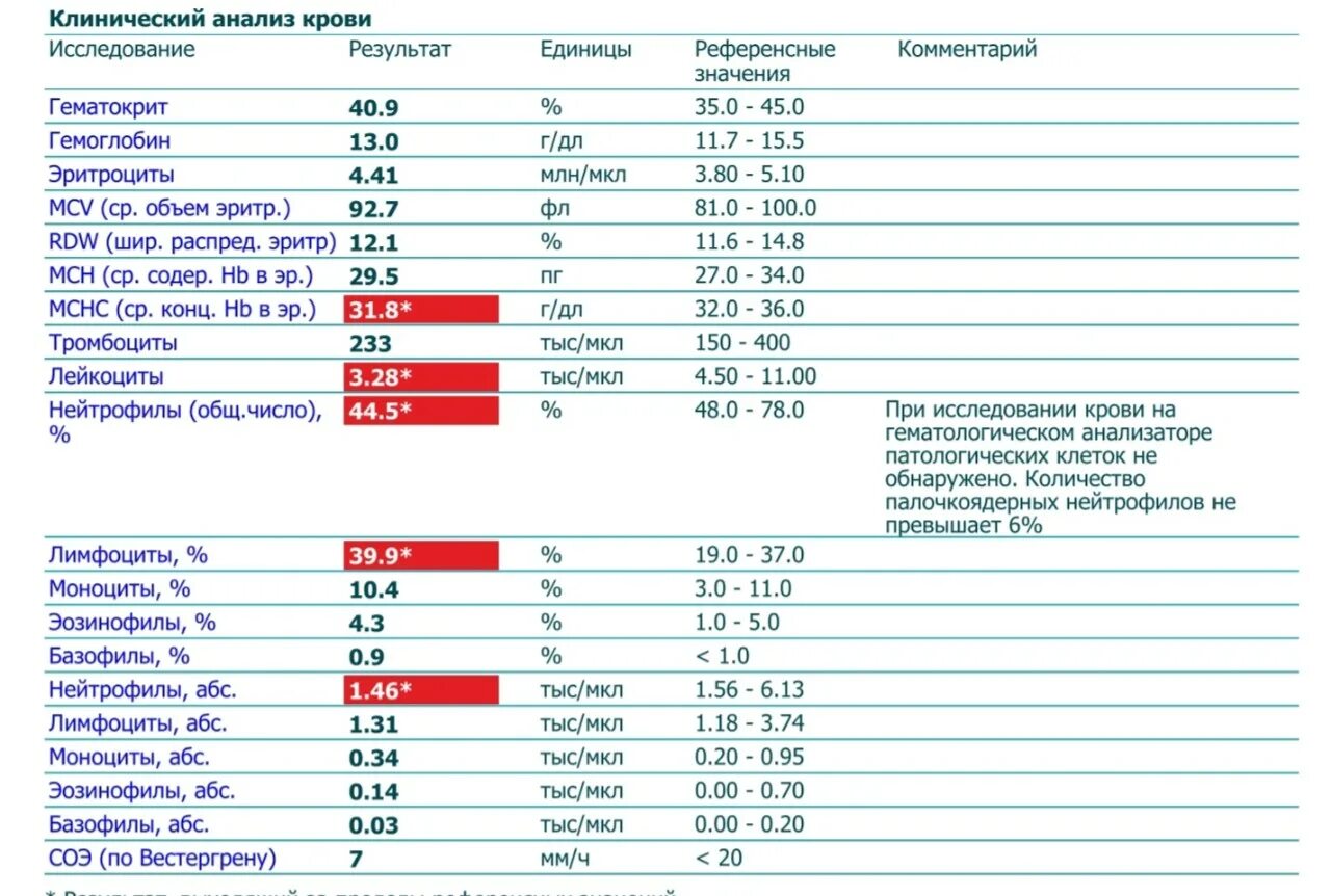 Низкий соэ у мужчин. Клинический анализ крови лейкоциты норма у женщин. Показатели лимфоцитов при онкологии у женщин. Исследование уровня лейкоцитов в крови норма. ОАК лимфоциты норма.