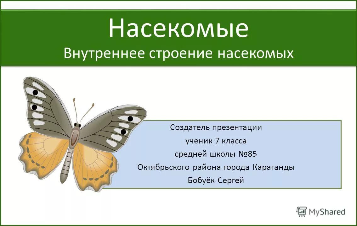 Строение насекомых 7 класс. Класс насекомые картинки. Презентация строение насекомые 1 класс. Мотивация урок класс насекомые.