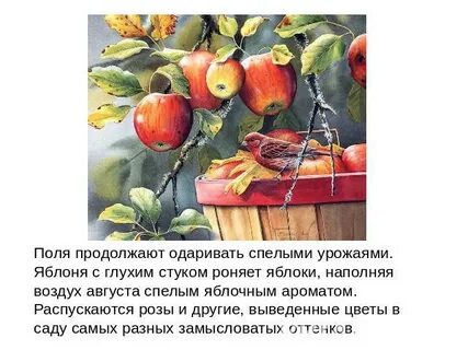 Вкус и запах яблока