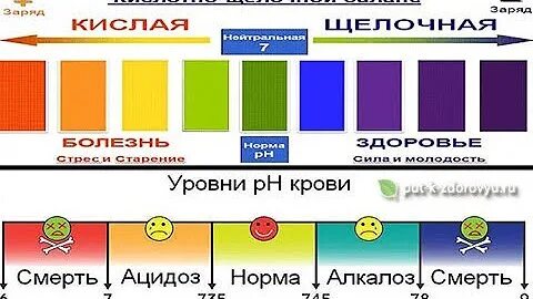 Уровень ph в организме