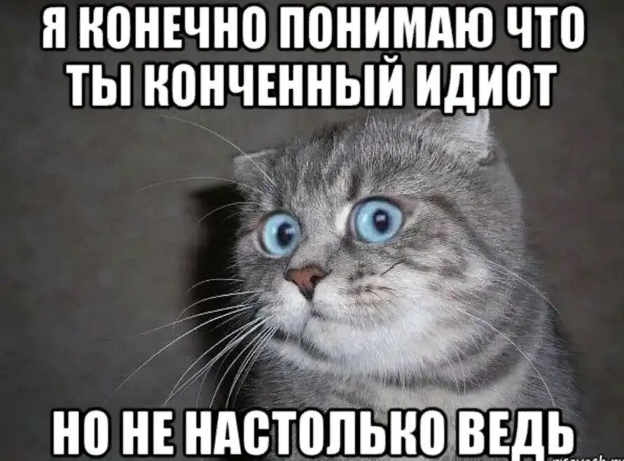 Конечно друга