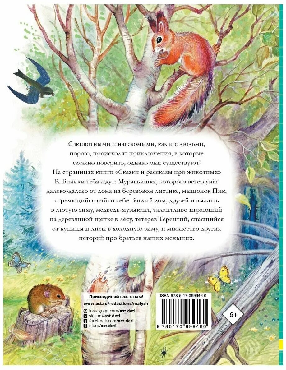 рассказы и сказки о животных. сказки про зверей для детей. маленькие сказки про животных. маленькая сказка о животных. короткие сказки про животных.