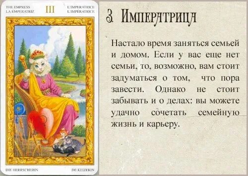 Карты таро кошки значение. Обозначения карт таро белых кошек. таро белых кошек. таро белых кошек толкование карт. таро белых кошек значение.