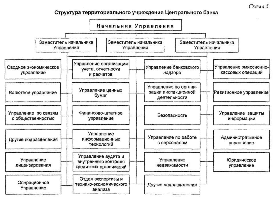 Территориальное управление экономикой. Организационная структура ЦБ РФ схема. Структура управления ЦБ РФ схема. Организационная структура центрального банка России. Организационная структура банка России схема.