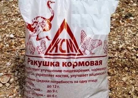 Ракушка для кур