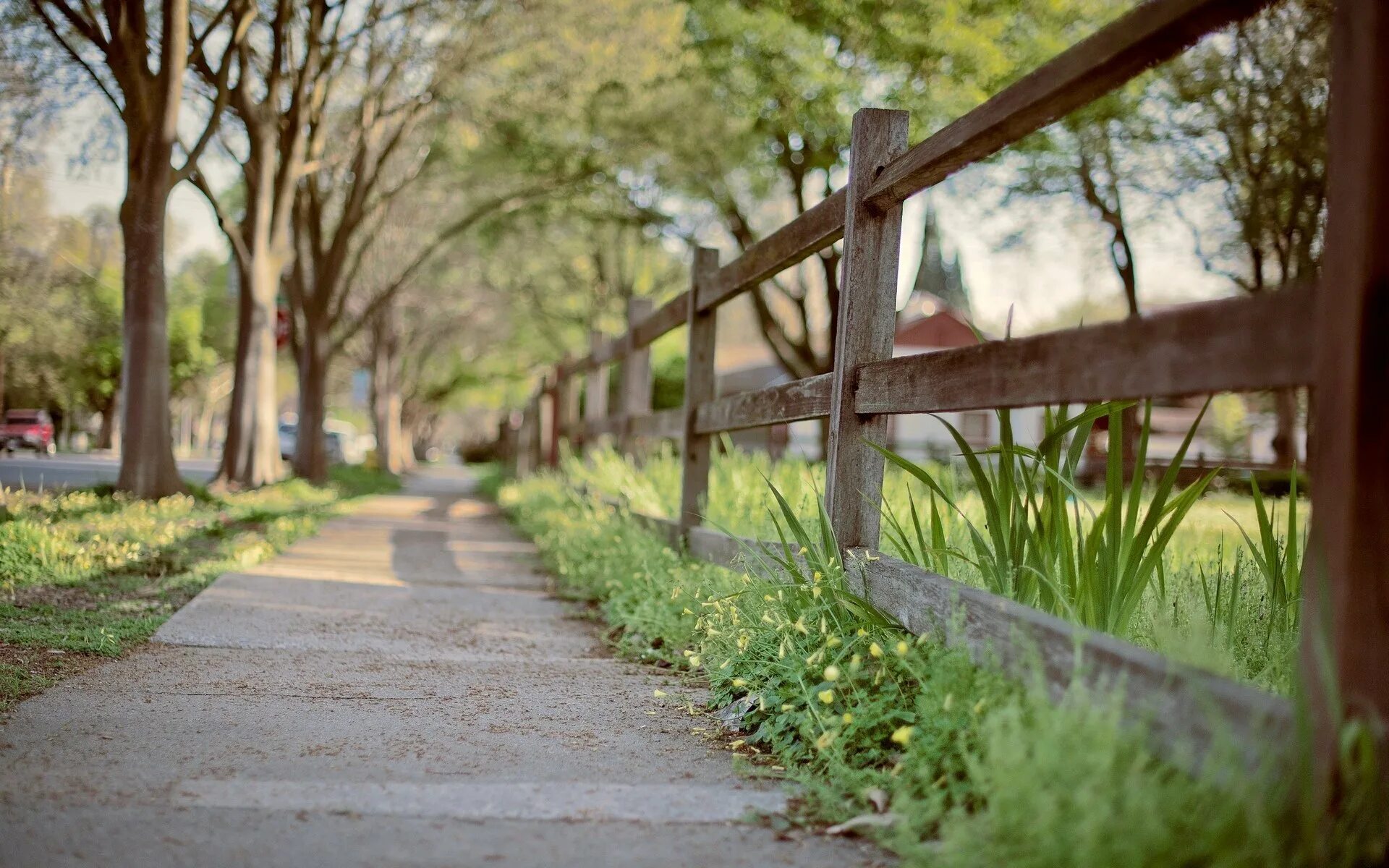 Background park