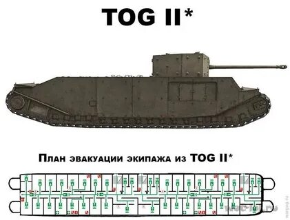 Сколько тог