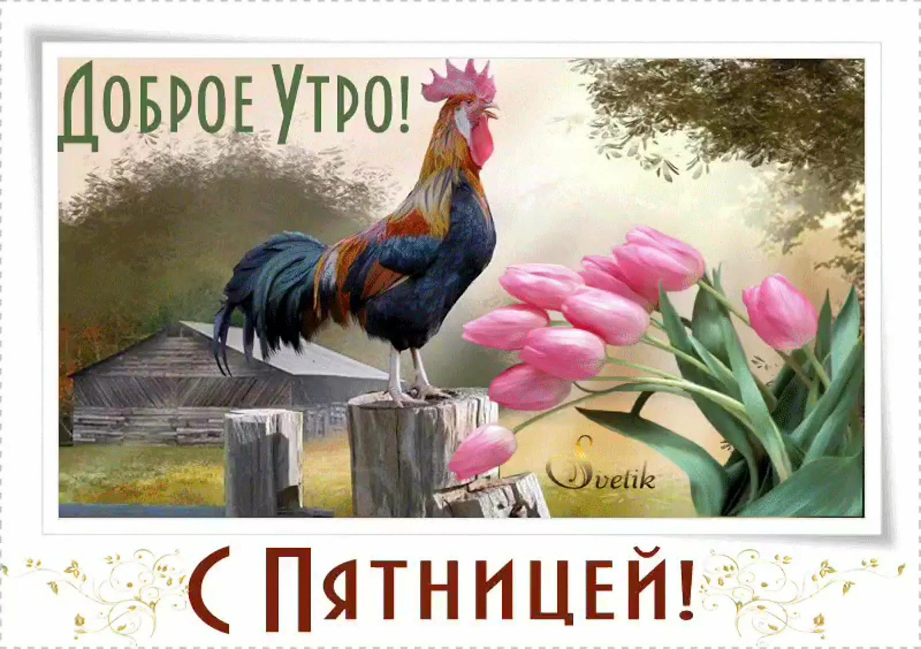 Доброе утро пятницы апреля картинки красивые. Доброе утро пятницы. доброе утро пятницы прикольные. открытки доброе утро пятница. с добрым утром пятницы картинки.