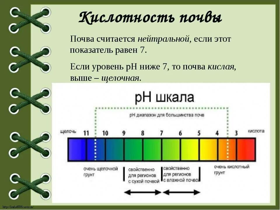 Как изменится рн. РН 7.5 почвы кислотность. Шкала кислотности PH почвы. Показатель кислотности PH таблица. 5 Шкала индикатор кислотности почвы.