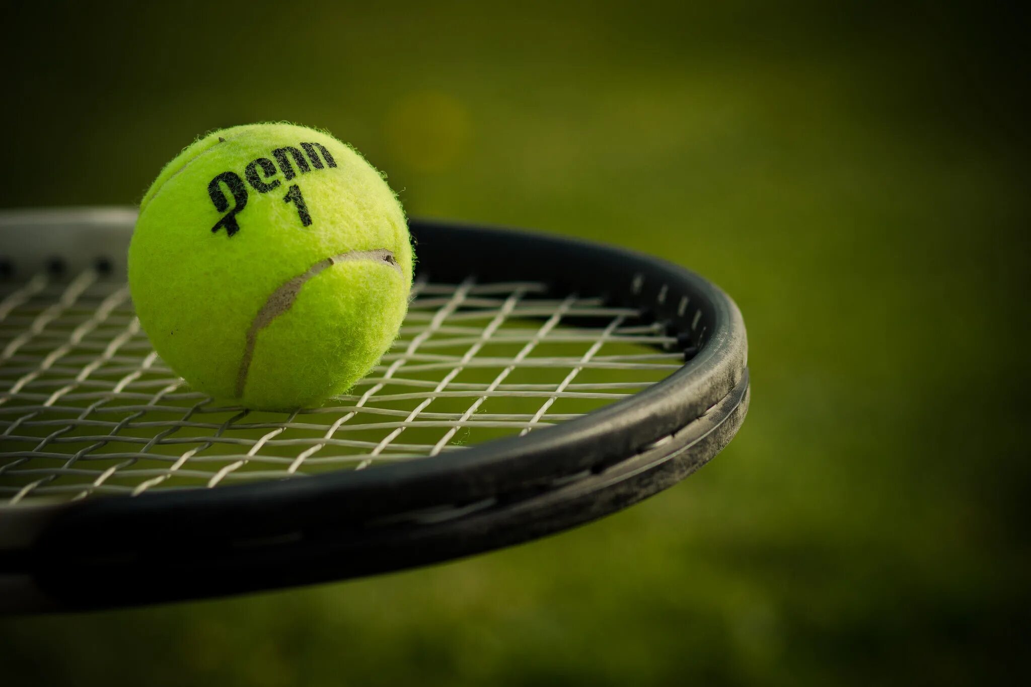 Теннисный мяч Tennis. Теннис корт ракетка мяч. Д Гиббс теннисный мяч. Теннисный корт с мячом и ракеткой.