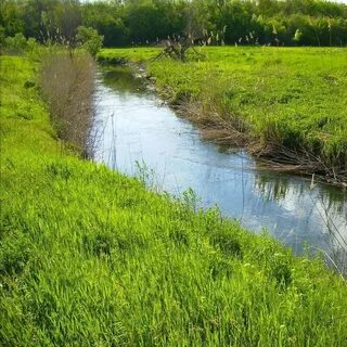 Река дурная