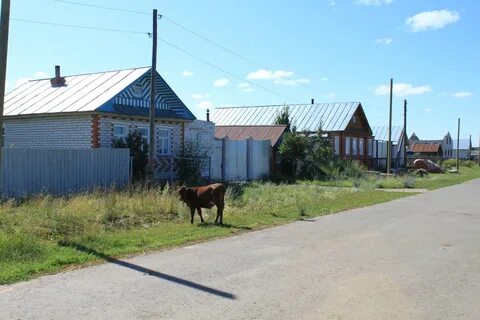 Погода в сотниково чувашия