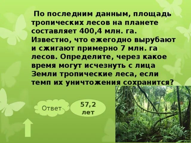 Площадь лесов земли составляет. Площадь лесов земли составляет