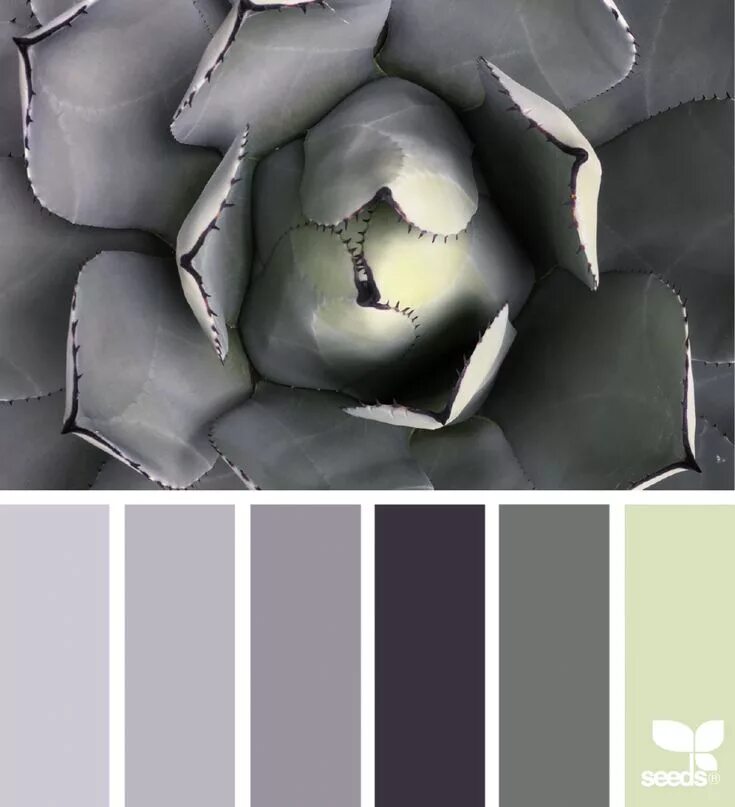 Сочетание цвета серый металлик Farrow & Ball Colors Matched to Benjamin Moore Farrow and ball paint, Great room