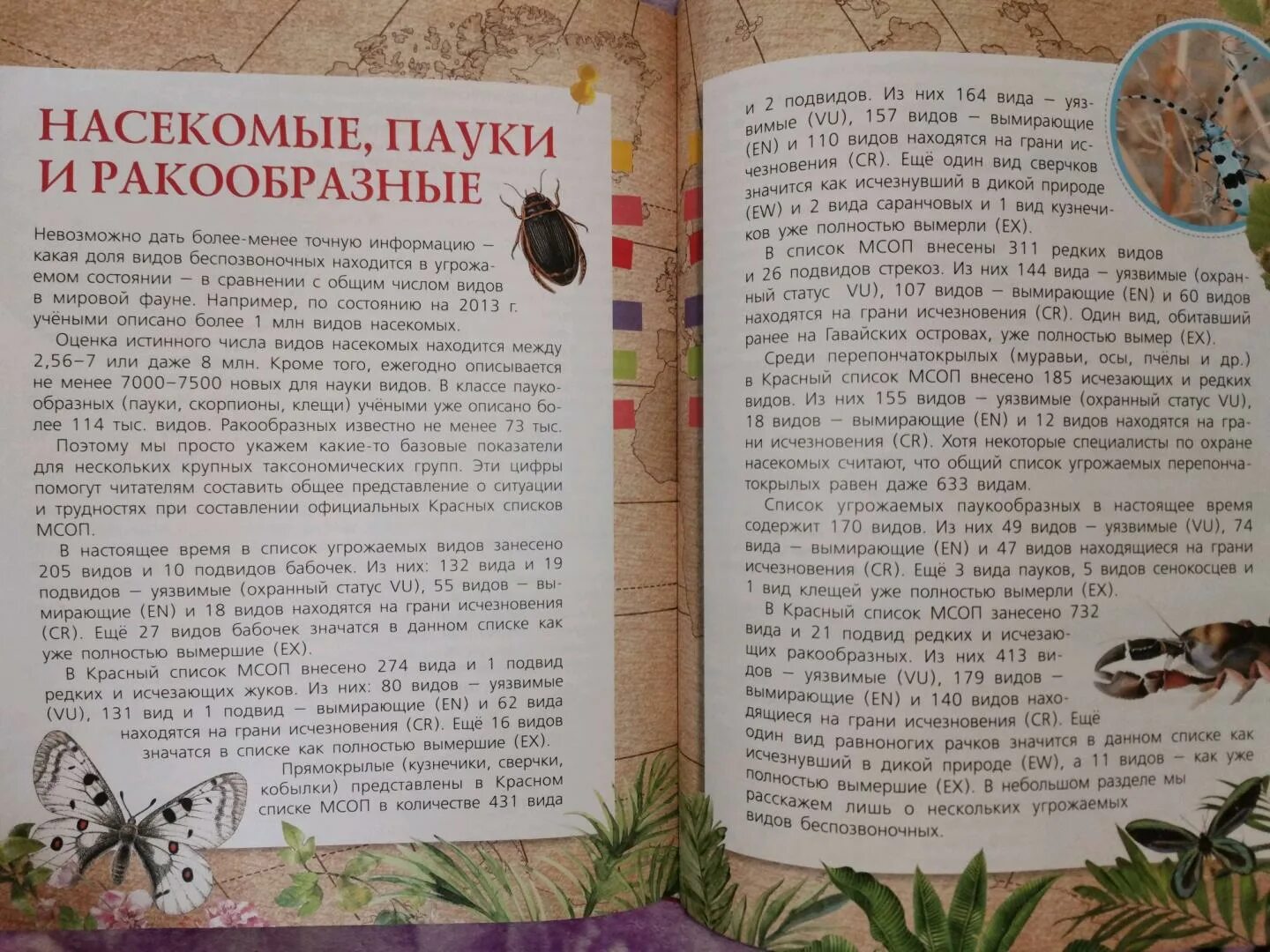 Эссе человек и природа. Портрет василия пескова. Тема природы в литературе. Рассказы пескова о природе. Песков о природе сочинение.