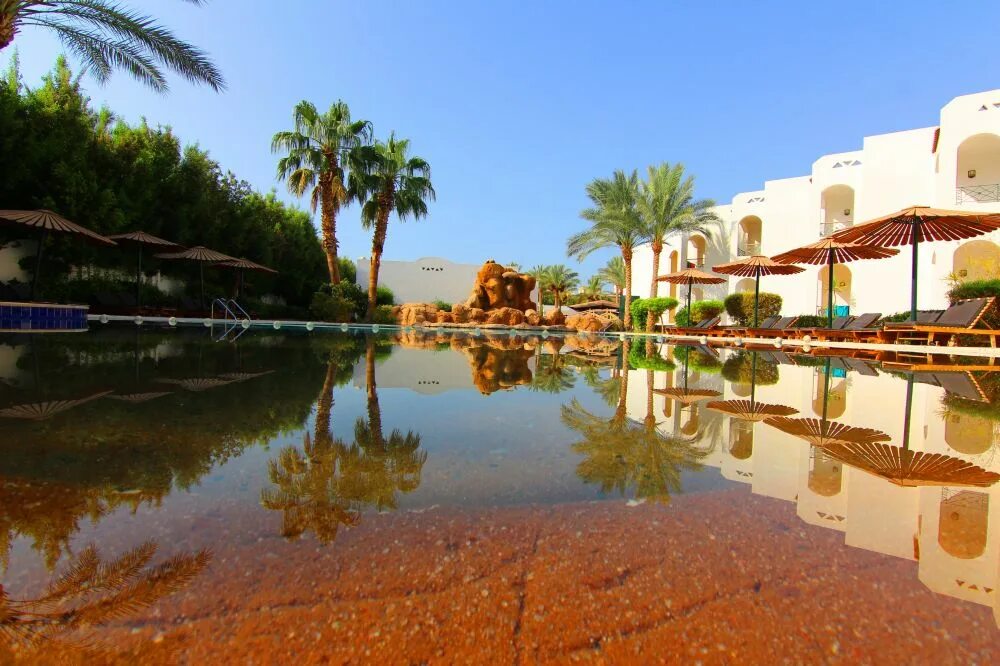 Coral hills 4. Coral Hills 4 Шарм-Эль-Шейх. Шарм-Эль-Шейх / Sharm el Sheikh Coral Hills Resort 4*. Falcon Hills 3 Египет Шарм-Эль-Шейх. Coral Hills Sharm el Sheikh 3.