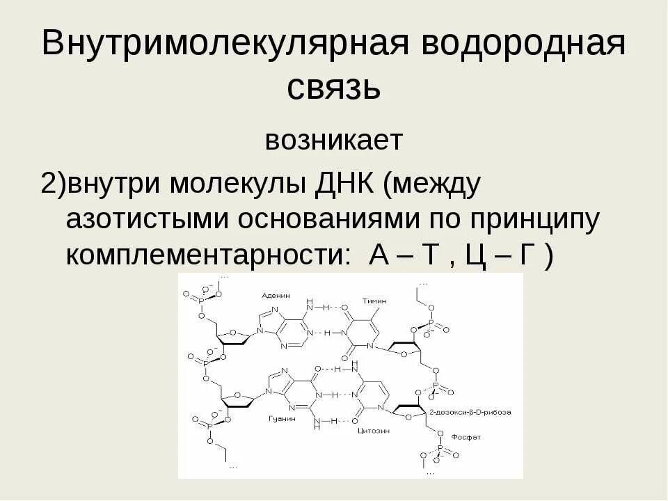 Водородные между азотистыми основаниями. Межмолекулярная и внутримолекулярная водородная связь. Внутримолекулярная водородная связь. Внутри и межмолекулярная водородная связь. Внутримолекулярная водородная связь примеры.