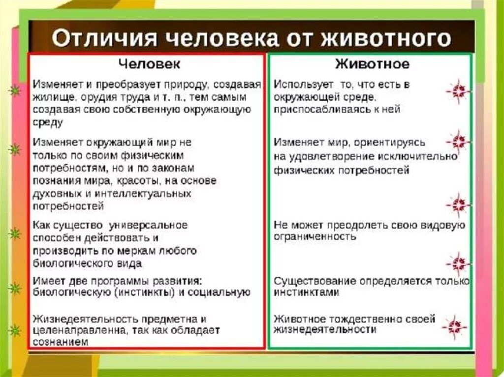 Чем отличается 1. Отличие человека от животных. отличие человека от других существ. отличие человека от других живых. чем человек отличается от других животных.