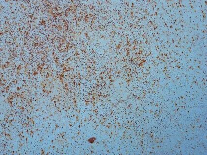 White rust