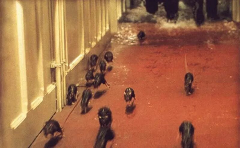 крыса бежит. крысы уходи. кот и мыши. единая россия крыса. мышь думает.