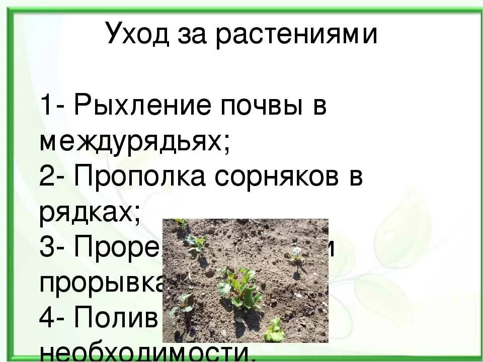 Почву необходимо рыхлить после или