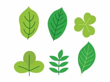 Green leaf во множественном