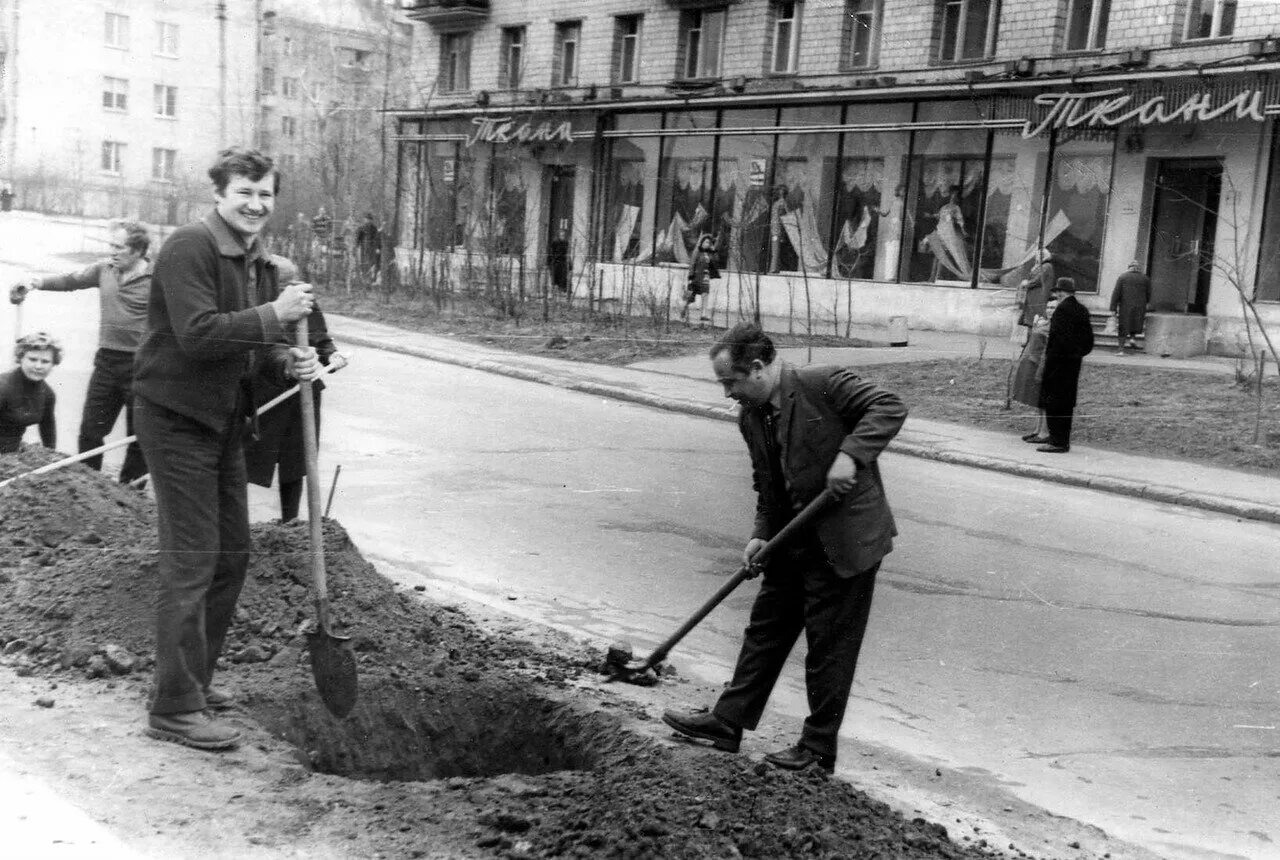 Московский старожил. Советский субботник. Субботник советские годы. Субботник 1970. Сажают дерево СССР.